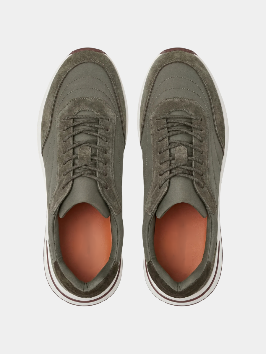 Olive Ravello Trainer